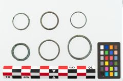 Foto von Bronzering (NHMW-PRAE-078069)